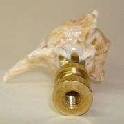 3.25" Seashell Finial for Lamp Harp