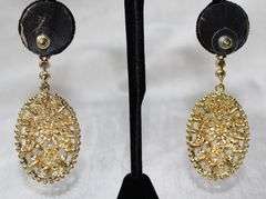 A Very Sexy Fashion Design Earrings