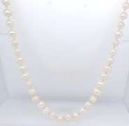 Fresh water white pearl necklace