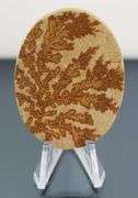 Tremendous 92.44ct German Psilomelane Dendrite