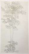 Szafran, Sam "Aralia IV" a Rare Limited Original Offset Lithograph on Paper, 1990