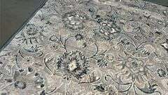 Decorative Transitional Rug 6x8