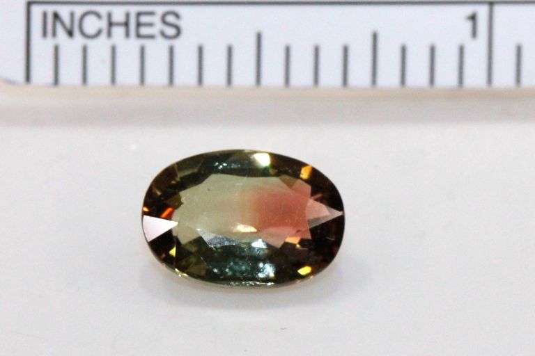 Natural Bi-Color Tourmaline - 2.87 cts.