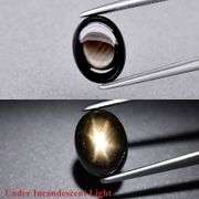 Gorgeous 2.25ct Thai Star Sapphire