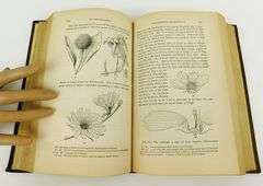 1860 Gray's Botanical Text Book