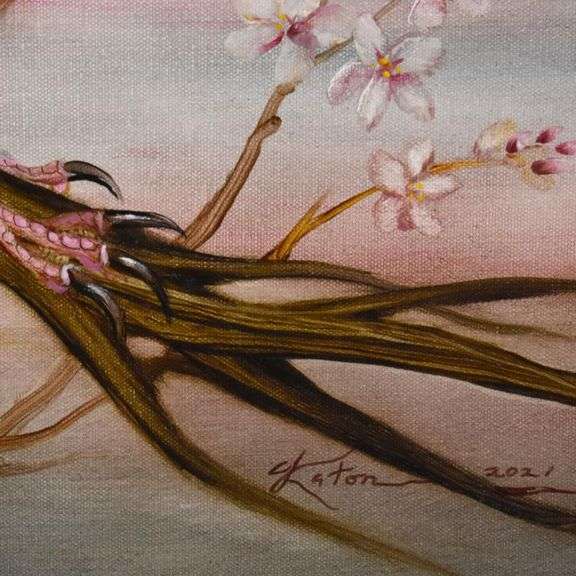 European Goldfinch by Martin Katon