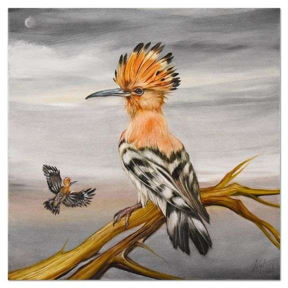Happy Hoopoes by Martin Katon