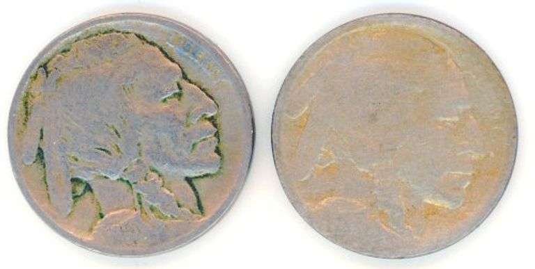2 Different Type 1 Buffalo Nickels: 1913 & 1913-D