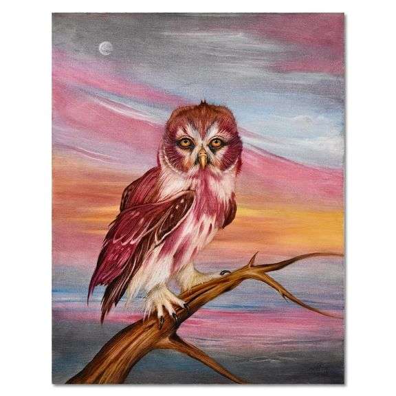 Little Owl by Martin Katon