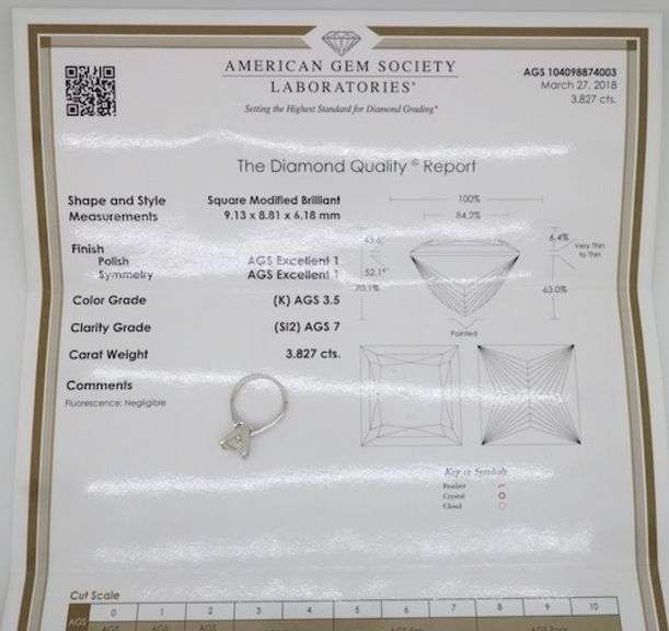 Certified 3.82CT Earth Mined Princess Cut Diamond Ring