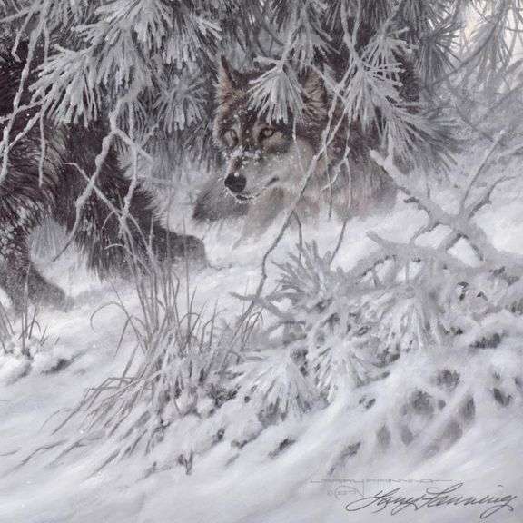 Phantom of the North by Larry Fanning