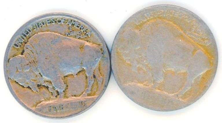 2 Different Type 1 Buffalo Nickels: 1913 & 1913-D