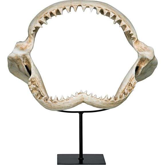 16 Inch Shark Jaws Jagged Teeth Statue on Display Stand
