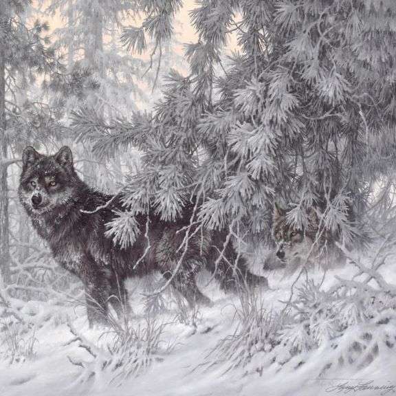 Phantom of the North by Larry Fanning
