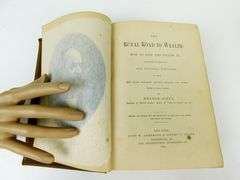 1884 The Royal Road to Wealth, Illustrated