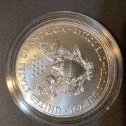 2024 American Silver Eagle $1 in Official US Mint Box