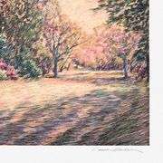 Azalea Dawn by Carson Gladson