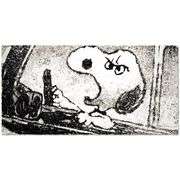 Rage Rover by Tom Everhart