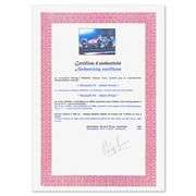 Renault F1 by Victor Spahn