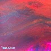 Untitled by Wyland