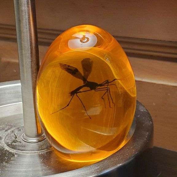 Official Jurassic Park Mosquito Resin Prop