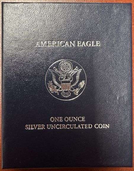 2007 American Eagle One Ounce Silver Uncirculated Coin
