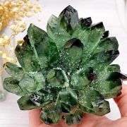 Natural Green Quartz Crystal Cluster