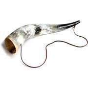 Large 28" Viking Blow Horn Polished Battle Trumpet