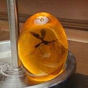 Official Jurassic Park Mosquito Resin Prop