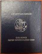 2007 American Eagle One Ounce Silver Uncirculated Coin