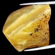 Huge! All natural! Rough cut 40.56ct yellow Opal