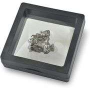 Genuine Campo Del Cielo Meteorite Fragment from Argentina