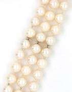 Triple row pearl diamond clasp bracelet in 14kt Yellow gold