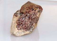 Huge Garnet Dodecahedron with Garnet Spray