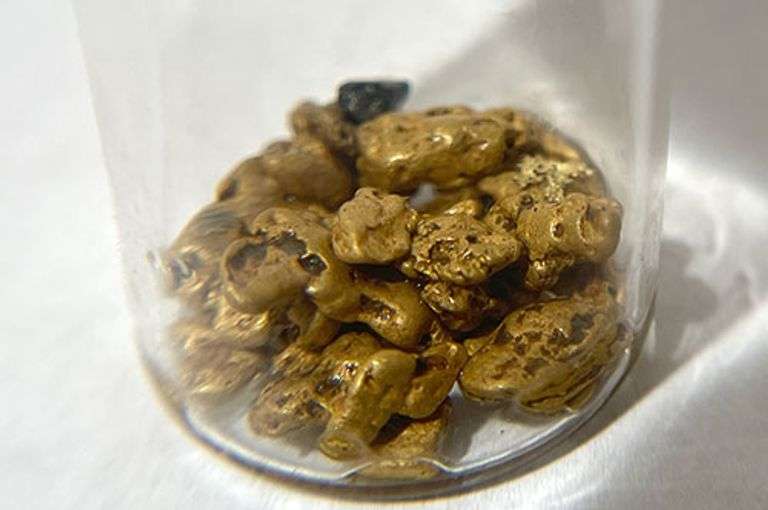 Pure Gold Nuggets. 8.1 grams.