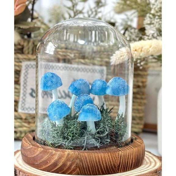 Handmade Mushroom Night Light in Glass Dome with Base