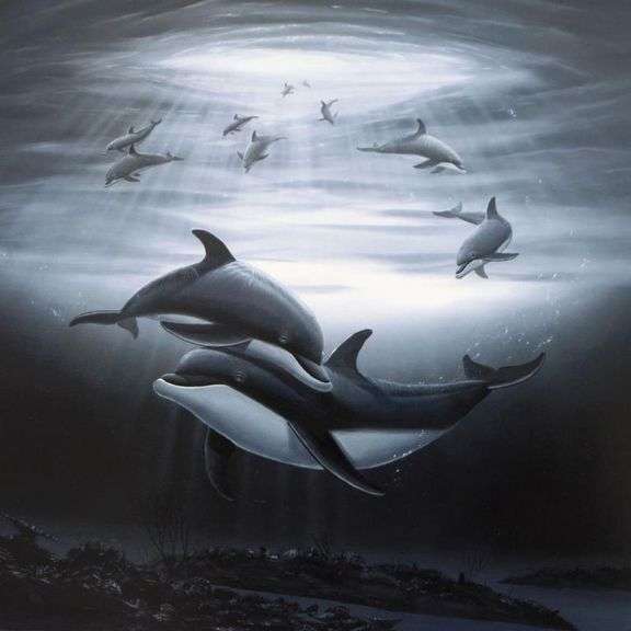 Dolphin Affection by Wyland,