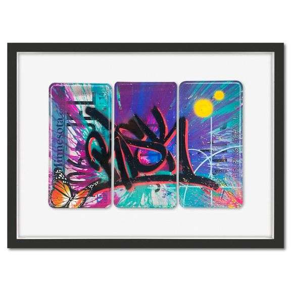 License Plate Triptych by RISK