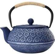 Japanese Traditional Cast Iron Teapot
