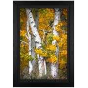 Fall is Over by Jongas,