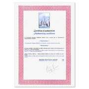 Manhattan by Spahn, Victor