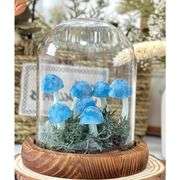 Handmade Mushroom Night Light in Glass Dome with Base