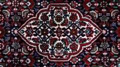 Handmade Persian Bidjar 2.8x10.3