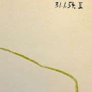 La Comedie Humaine 31.1.54-II by Picasso (1881-1973)