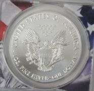 2021 MS 70 Silver Eagle TYPE 1