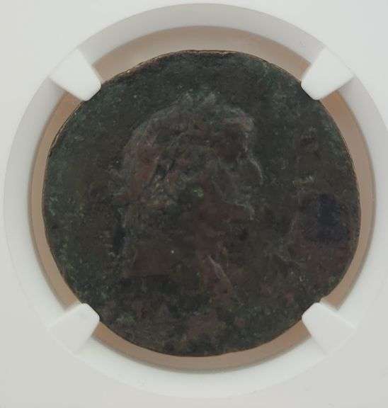 69-79 AD Egypt, Alexandria, Vespasian / NGC VG