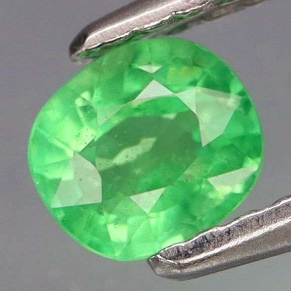 Vivid spring green .47ct Tsavorite Garnet