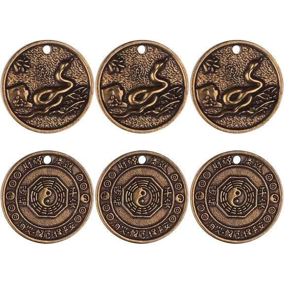6Pcs Year of the Snake Feng Shui Tokens