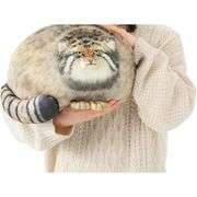 Plush Body Cat Soft Pillow 18-inch