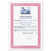 America's Cup - Alinghi by Spahn, Victor